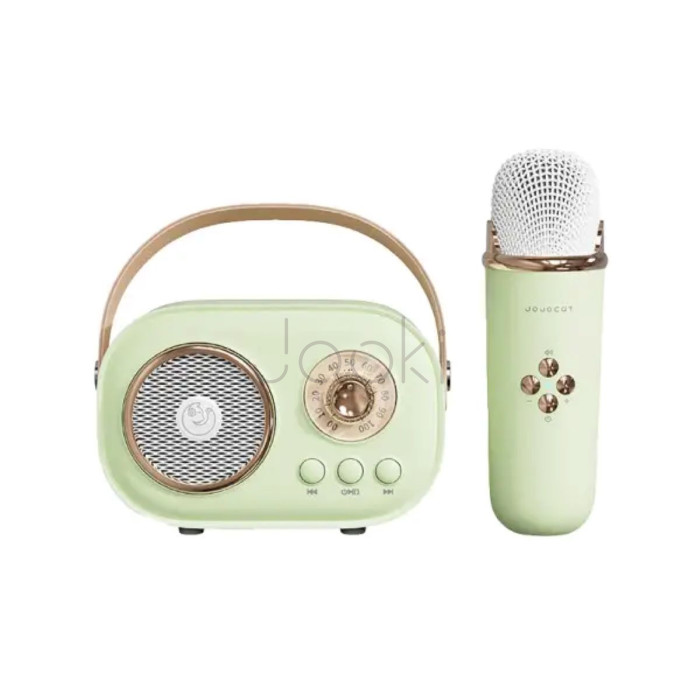 Колонка портативная с микрофоном C-20 BT/TF/USB/FM 5 Вт Зеленый  Jooki