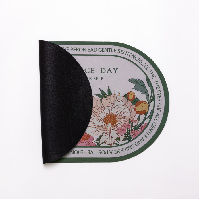 Диатомитовый овальный коврик для дома Have A Nice Day 38×58 (см) влаговпитывающий коврик для кухни ванны и туалета HP-42-59  Всегда под рукой 