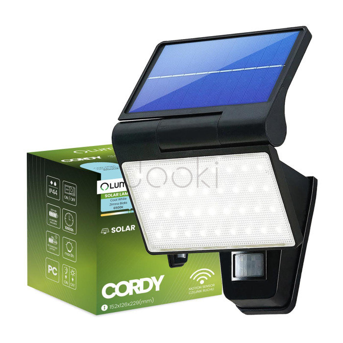 Сонячний фасадний LED-прожектор Lumiled серії Cordy — стінний садовий прожектор із датчиками руху та сутінків, холодне світло 6500 K, IP44